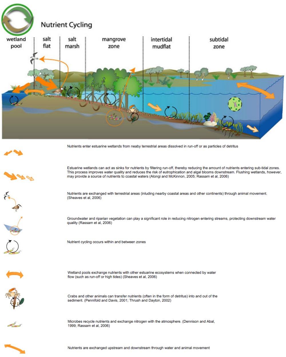 Nutrient Cycling Freshwater Inflows pertaining to cycling of nutrients intended for Warm