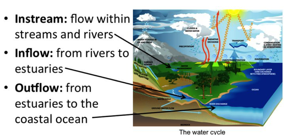 Environmental Flow Types.