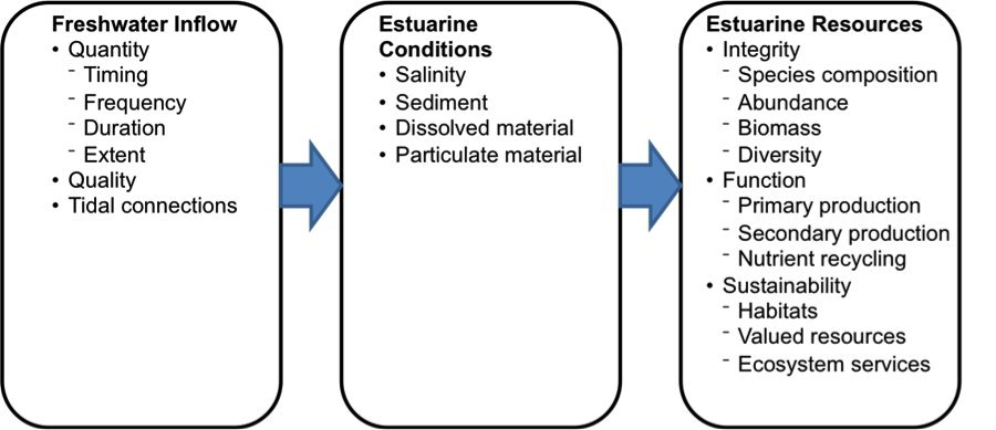 The “Domino Theory” that freshwater inflow has an indirect effect on estuarine resources by controlling estuary condition.
